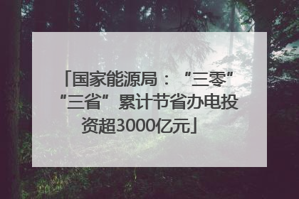国家能源局：“三零”“三省”累计节省办电投资超3000亿元