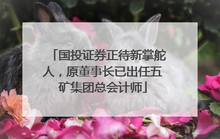 国投证券正待新掌舵人，原董事长已出任五矿集团总会计师