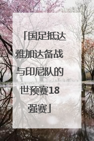 国足抵达雅加达备战与印尼队的世预赛18强赛