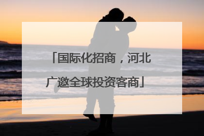 国际化招商，河北广邀全球投资客商