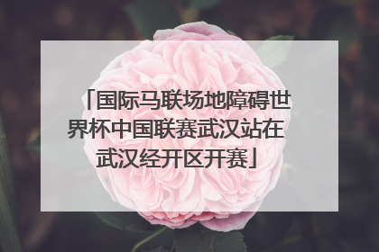 国际马联场地障碍世界杯中国联赛武汉站在武汉经开区开赛