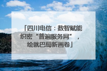 四川电信：数智赋能织密“普遍服务网”，绘就巴蜀新画卷