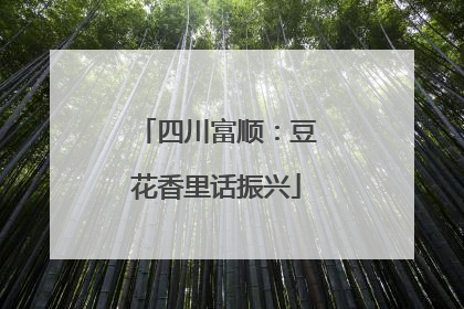 四川富顺：豆花香里话振兴