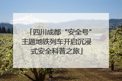四川成都“安全号”主题地铁列车开启沉浸式安全科普之旅