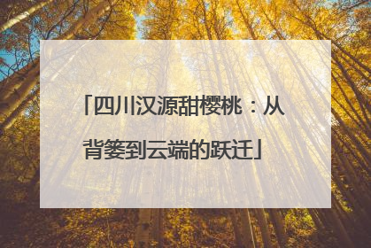 四川汉源甜樱桃：从背篓到云端的跃迁