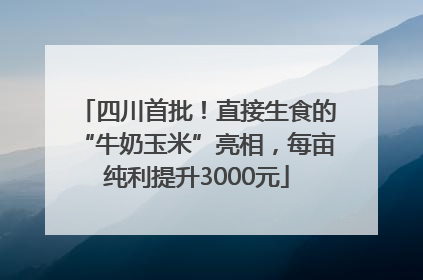 四川首批！直接生食的“牛奶玉米”亮相，每亩纯利提升3000元