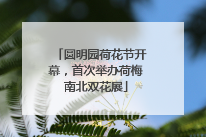 圆明园荷花节开幕，首次举办荷梅南北双花展