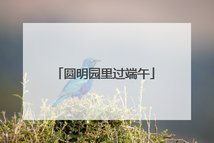 圆明园里过端午