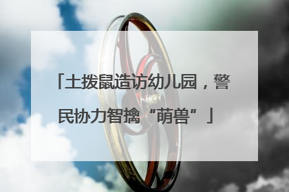 土拨鼠造访幼儿园，警民协力智擒“萌兽”