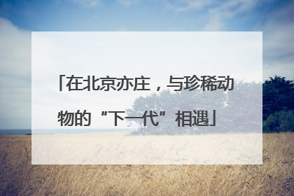 在北京亦庄，与珍稀动物的“下一代”相遇