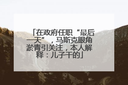 在政府任职“最后一天”，马斯克眼角淤青引关注，本人解释：儿子干的