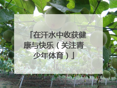 在汗水中收获健康与快乐（关注青少年体育）