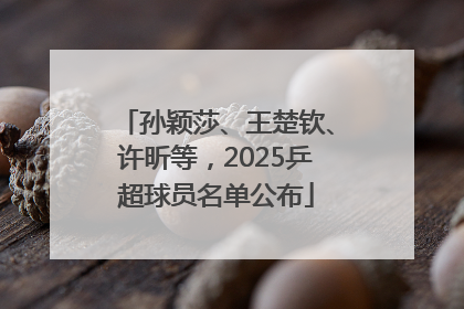 孙颖莎、王楚钦、许昕等，2025乒超球员名单公布