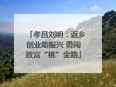 孝昌刘明：返乡创业助振兴 勇闯致富“桃”金路