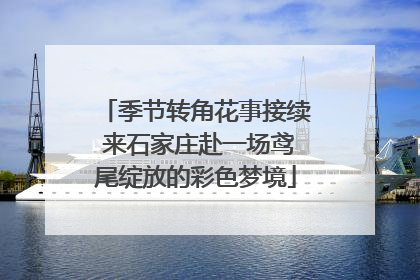 季节转角花事接续 来石家庄赴一场鸢尾绽放的彩色梦境