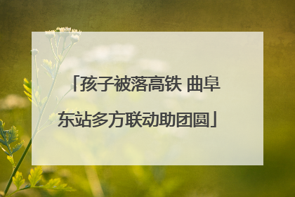 孩子被落高铁 曲阜东站多方联动助团圆