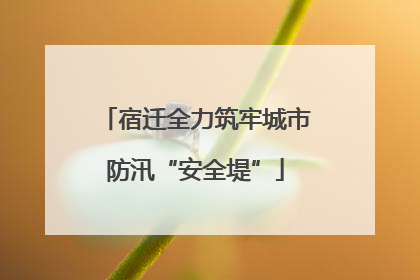 宿迁全力筑牢城市防汛“安全堤”