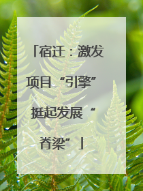 宿迁：激发项目“引擎” 挺起发展“脊梁”