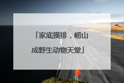 家底摸排，崂山成野生动物天堂