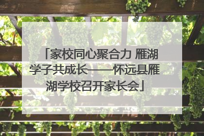 家校同心聚合力 雁湖学子共成长——怀远县雁湖学校召开家长会