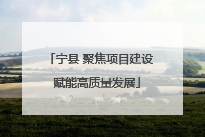 宁县 聚焦项目建设 赋能高质量发展