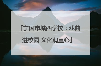 宁国市城西学校：戏曲进校园 文化润童心