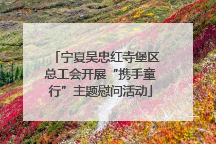 宁夏吴忠红寺堡区总工会开展“携手童行”主题慰问活动