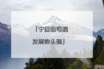 宁夏葡萄酒发展势头强