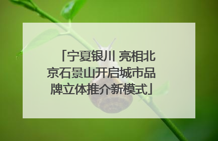 宁夏银川 亮相北京石景山开启城市品牌立体推介新模式