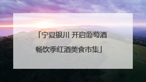 宁夏银川 开启葡萄酒畅饮季红酒美食市集