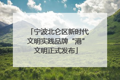 宁波北仑区新时代文明实践品牌“港”文明正式发布