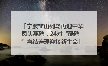 宁波韭山列岛再迎中华凤头燕鸥，24对“酷鸥”喜结连理迎接新生命