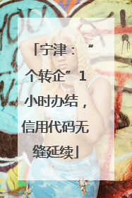 宁津：“个转企”1小时办结，信用代码无缝延续