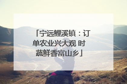 宁远鲤溪镇：订单农业兴大观 时蔬鲜香富山乡