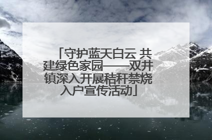 守护蓝天白云 共建绿色家园——双井镇深入开展秸秆禁烧入户宣传活动