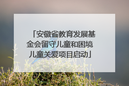 安徽省教育发展基金会留守儿童和困境儿童关爱项目启动