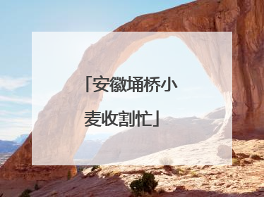 安徽埇桥小麦收割忙