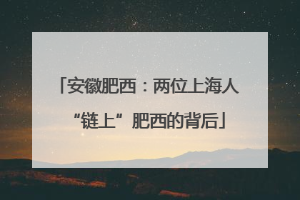 安徽肥西：两位上海人“链上”肥西的背后
