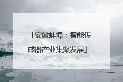 安徽蚌埠：智能传感器产业集聚发展