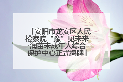 安阳市龙安区人民检察院“豫”见未来·润苗未成年人综合保护中心正式揭牌