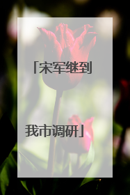 宋军继到我市调研