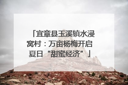 宜章县玉溪镇水浸窝村：万亩杨梅开启夏日“甜蜜经济”