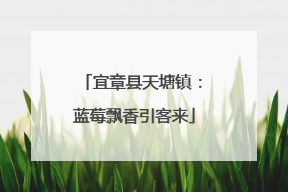 宜章县天塘镇：蓝莓飘香引客来