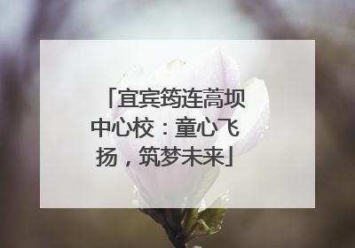 宜宾筠连蒿坝中心校：童心飞扬，筑梦未来