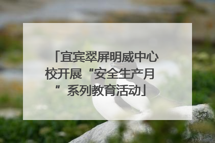 宜宾翠屏明威中心校开展“安全生产月”系列教育活动