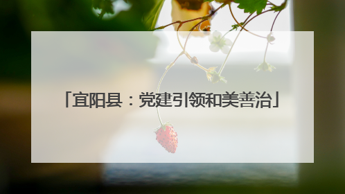 宜阳县：党建引领和美善治