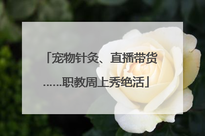 宠物针灸、直播带货……职教周上秀绝活