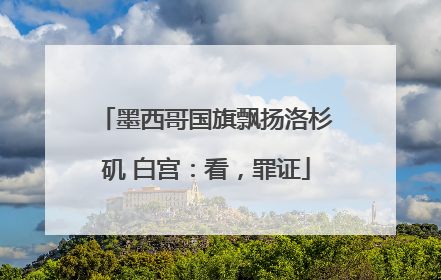 墨西哥国旗飘扬洛杉矶 白宫：看，罪证