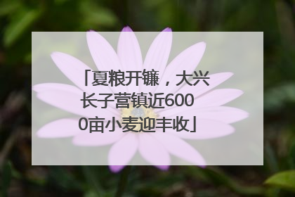 夏粮开镰，大兴长子营镇近6000亩小麦迎丰收