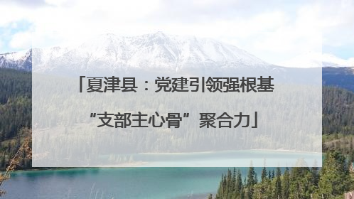 夏津县：党建引领强根基 “支部主心骨”聚合力